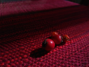 img8_29701.jpg